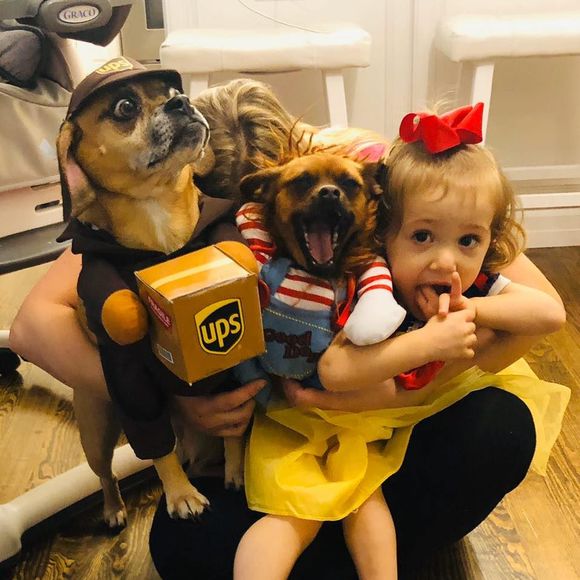 Meet your Posher, Brianne - Picture 1 of 1